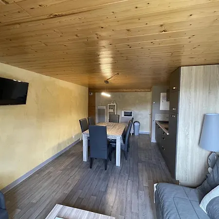 Duplex Confortable 52m² - 2 - Pres Des Pistes - Parking Gratuit - Non Fumeur - Fr-1-787-11 Apartment